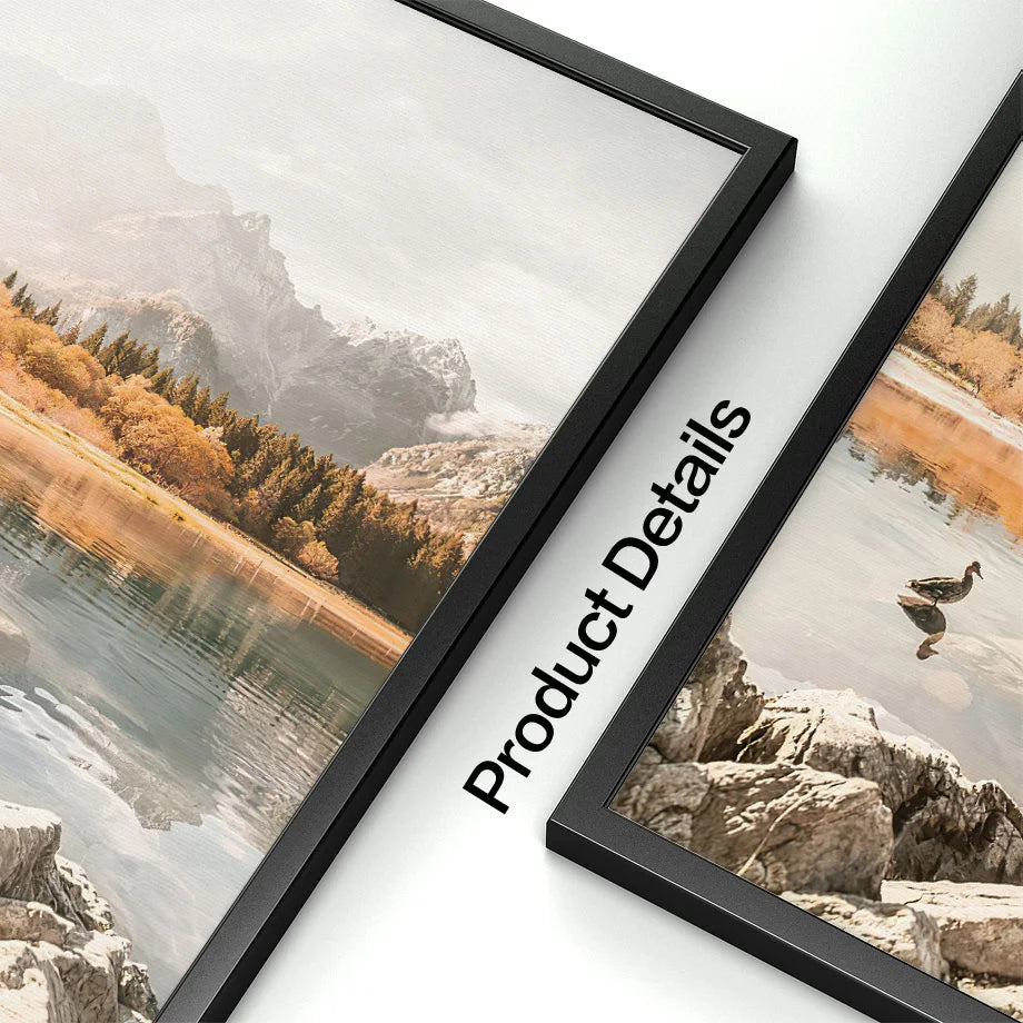 Autumn Forest Tree Sunlight Canvas Wall Art