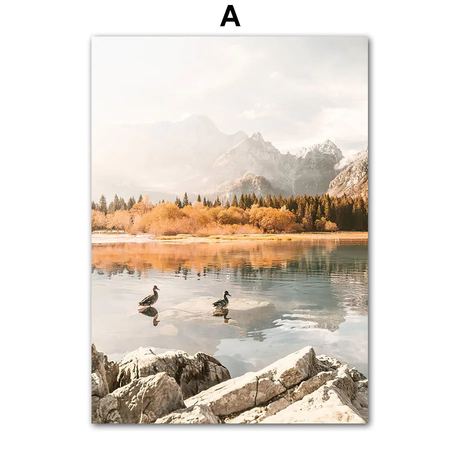 Autumn Forest Tree Sunlight Canvas Wall Art